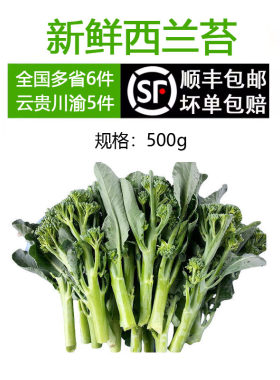 新鲜西兰苔时令蔬菜青花苔迷你小西兰花苔5件顺丰包邮