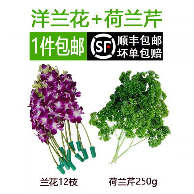 装饰杨兰花束酒店12支新鲜蔬菜