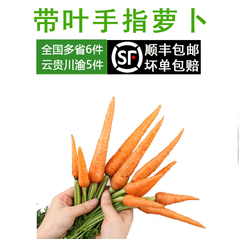 水果带叶胡萝卜新鲜蔬菜