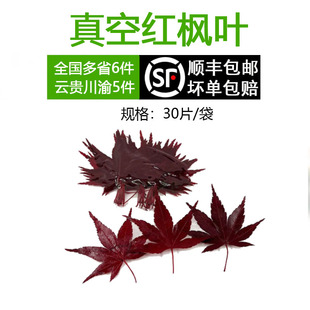 新鲜真空红枫叶30片枫树叶非绿枫叶现摘现发西餐日料餐饮摆盘装饰
