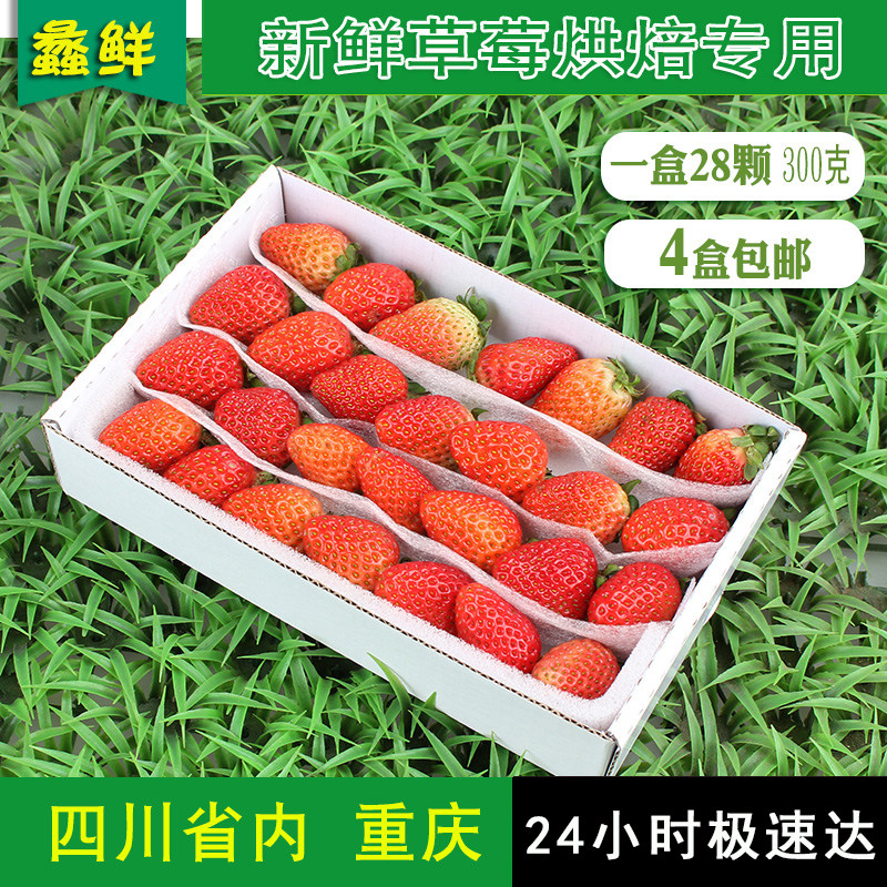新鲜草莓1盒28粒小果蛋糕烘焙专用草莓装饰酸草莓孕妇水果4盒包邮