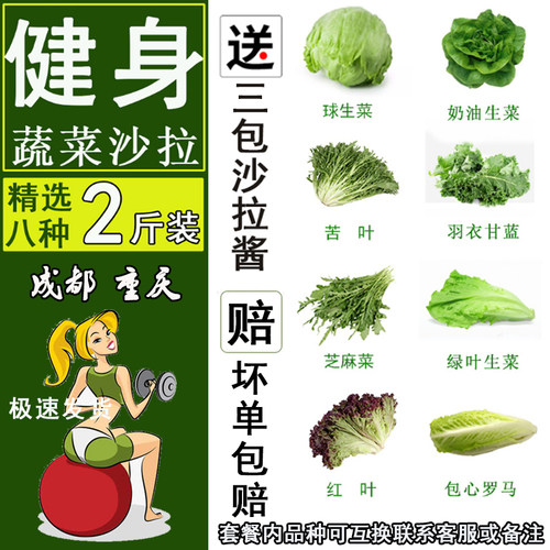 新鲜生菜蔬菜沙拉色拉顺丰包邮
