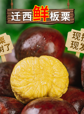 2025迁西板栗生新鲜栗子嫩板栗仁带壳现摘青栗子油栗5斤产地直发