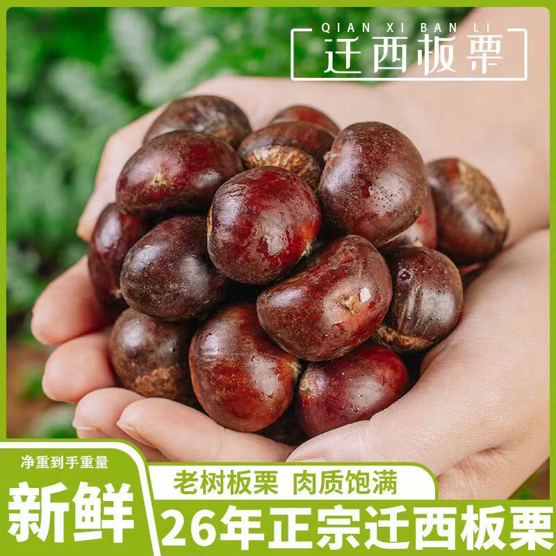 2026有机板栗生新鲜迁西生板栗正宗野燕山生板栗仁5斤毛栗子产地