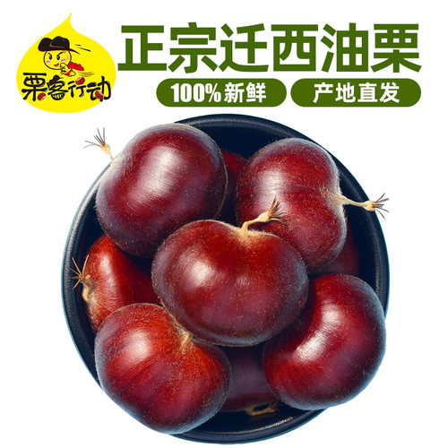 新板栗河北燕山生板栗