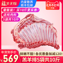 Fuyang Tianci Inner Mongolia Lamb Chops 10 jin fresh mutton fresh barbecue ingredients roast lamb chops leg lamb scorpion