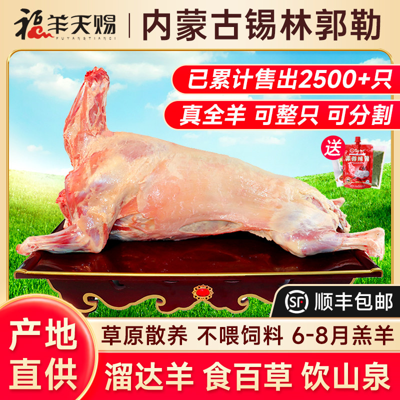 内蒙古锡盟全羊整只羊肉新鲜羊排羊腿羊蝎非现杀宁夏羊中秋礼盒