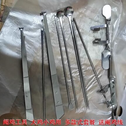 阉鸡工具全套新型用具兽用阉割刀小鸡使用设备腌鸡不锈钢阉鸡仔