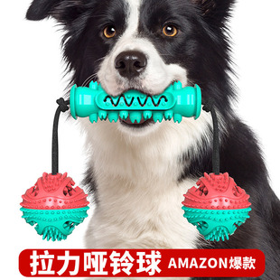 亚马逊爆款狗狗玩具磨牙棒 耐啃咬洁齿骨牙刷狗玩具带绳3宠物用品