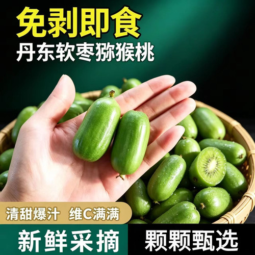东北丹东软枣猕猴桃新鲜水果