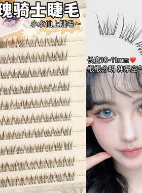 女明星同款！免胶小水仙玫瑰骑士