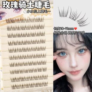 女明星同款！免胶小水仙玫瑰骑士上睫毛韩系空气感自然仿真假睫毛