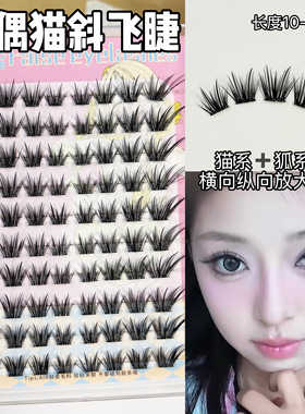 猫系+狐系也结合了！布偶猫睫毛