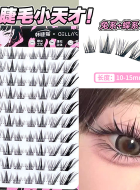 兔+蝶+狐系=睫毛小天才！免胶睫毛上镜斜飞日常自然卷翘眼尾拉长