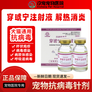 宠物犬猫抗病毒药穿琥宁注射液猫杯状疱疹病毒药感冒打喷嚏流鼻涕