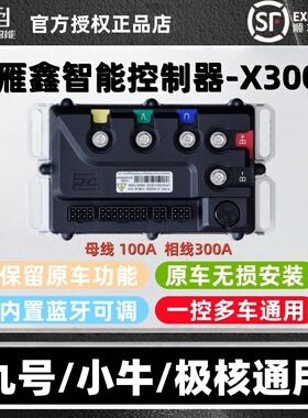 雁鑫控制器X300极核AE4AE5i九号M5M3MZ小牛NXFX风速直上保留功能