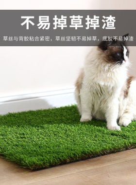 宠物厕所垫仿真草坪人工地毯垫