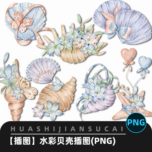 F097手绘水彩海边贝壳蚌壳元素插图电子手账贴纸免抠png设计素材