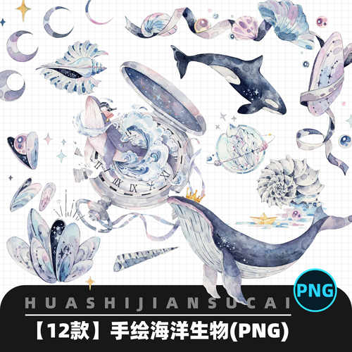 F222手绘水彩海洋生物海豚鲸鱼海螺时间与海插图设计png素材