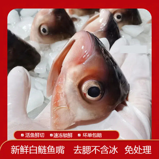 新鲜白鲢鱼鱼嘴巴活鱼现杀大鱼真空鱼唇冰鲜鱼头非花鲢鱼头鲜活
