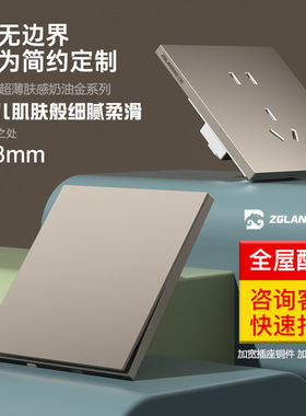 哑光大板墙壁插座暗装超薄二三插五孔无框肤感开关面板K80奶油金