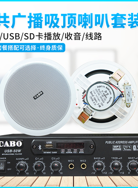 CABO/加宝 HD-192天花音箱吊顶音响功放套装定压吸顶喇叭功放套装