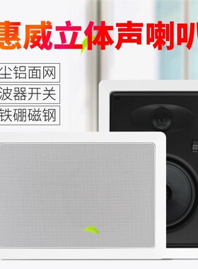 Hivi/惠威 VR6-W 同轴环绕立体声吸顶喇叭吊顶音箱定阻天花音响