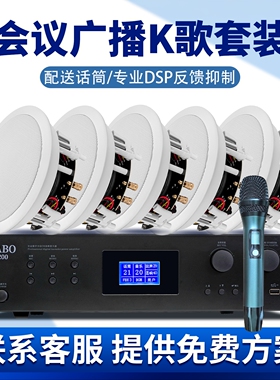 惠威VX6-C会议广播K歌套装DSP反馈抑制话筒嵌入式吸顶音响套装