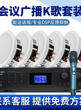 惠威VX6-C会议系统套装带话筒