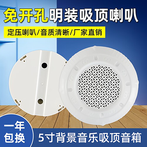 明装吸顶定压天花喇叭音响