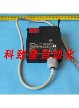 工业配件D4NL-4EFG-B防护锁安全门开关