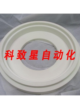 工业配件LAM RAINBOW 4520 CERAMIC CHINSERT LINER RING CHUCK 1