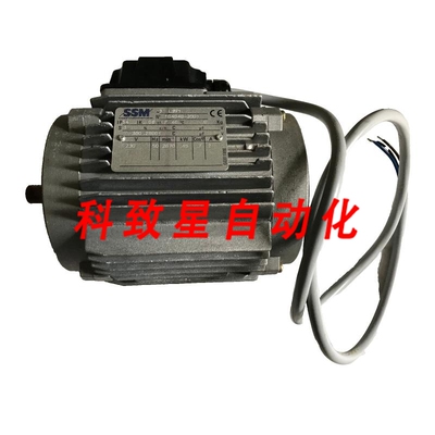 工业配件SSM 3 LS71 104049001 SCHARER SCHWEITER AG.45KW 230V