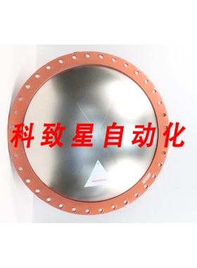 工业配件DISC G-CFC-VG RUPTURE DISC 30IN 10PSI 400F