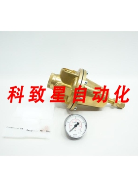 工业配件LANDEFELD DR55405 直线压力调节器 1IN NPT