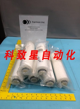 工业配件CN1H01T06 PROCESSGARD CN 10 CARTRIGDE 1H 170255