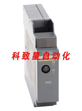 工业配件WS0-CPU000200