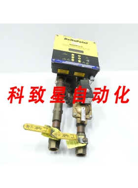 工业配件ROCON DPL3LM-6/4-N1F1C-FN19-F-V3-CPH 点水流量计