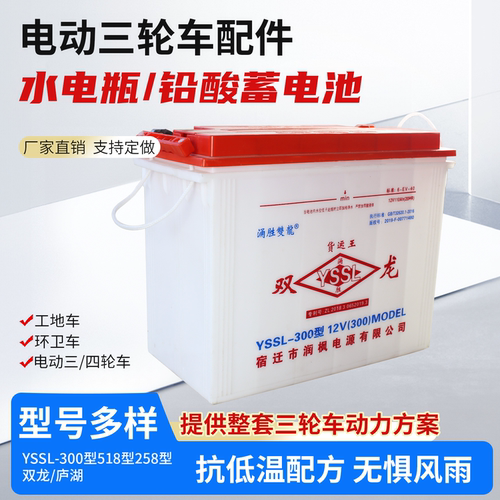 电动三轮车水电瓶电池大容量铅酸