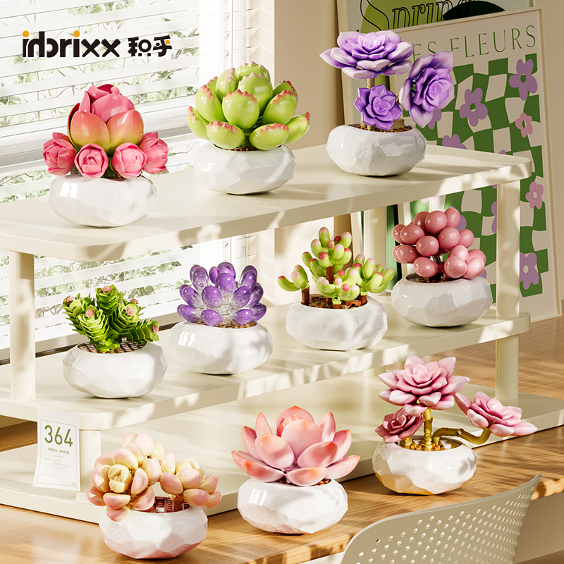 inbrixx积乎多肉盆栽植物系列