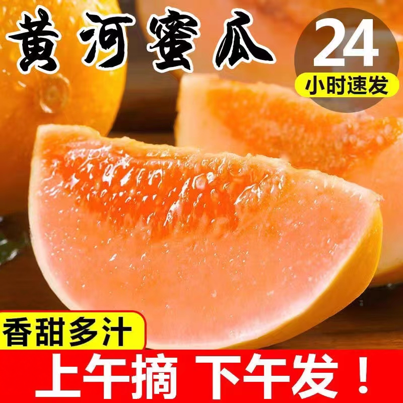助农甘肃民勤沙漠黄河蜜瓜黄皮哈密瓜冰淇淋软糯新鲜水果10斤包邮