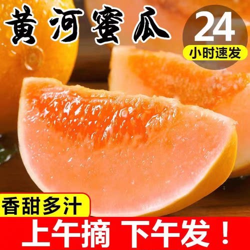 助农沙漠黄河蜜瓜冰淇淋软糯香甜