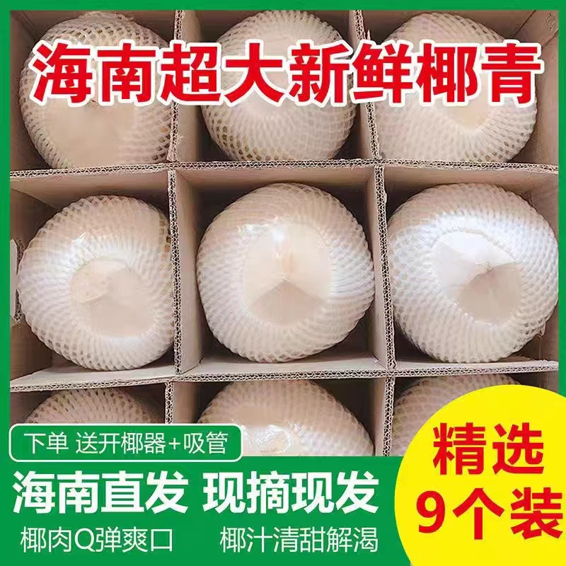 海南文昌椰青9個裝去皮超大箱