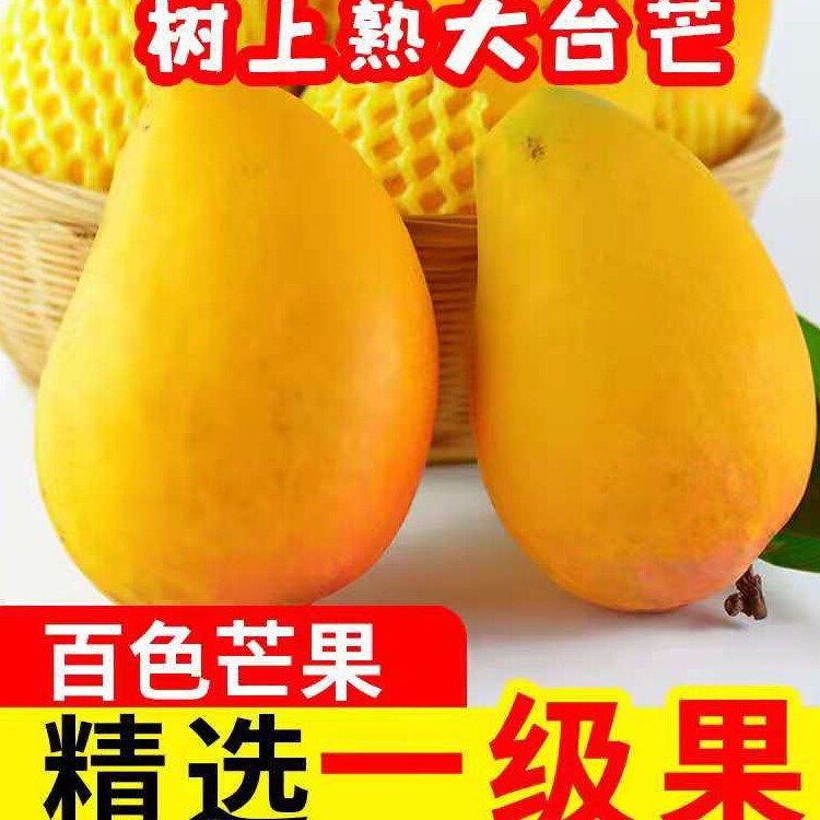 正宗广西百色田东大台芒大台农新鲜应季水果整箱大果10斤包邮现摘