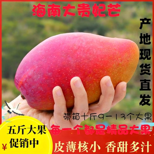 海南特级大贵妃芒果新鲜水果10斤包邮树上熟当季大果红金龙甜心5