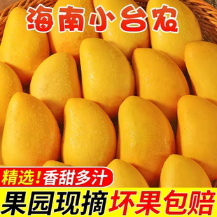 助农海南小台农芒果10斤小台芒当季新鲜水果整箱包邮应季热带芒果