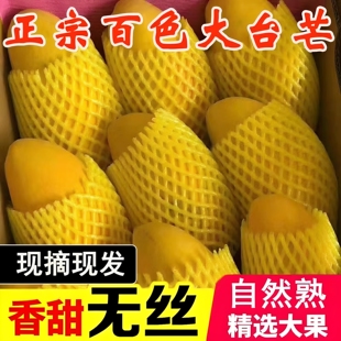 正宗广西百色田东大台芒大台农新鲜应季水果整箱大果10斤包邮现摘