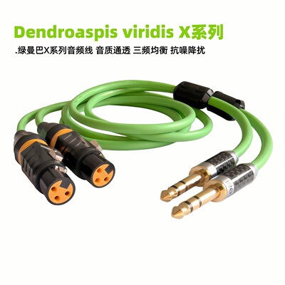 发烧双卡侬母转双6.5大三芯线