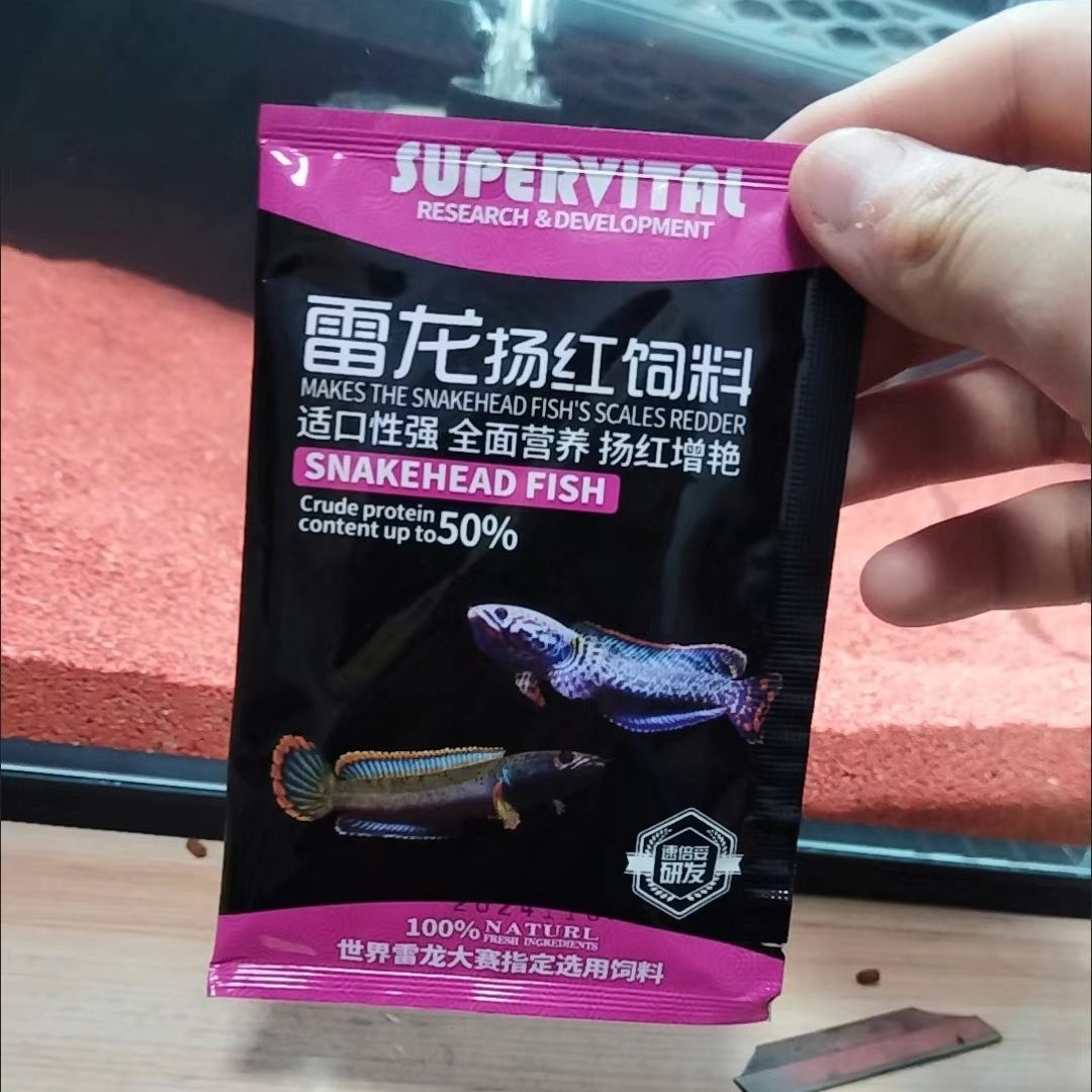 速倍妥雷龙鱼饲料黄金眼镜蛇彩虹雷龙鱼食料阿萨姆巴卡蓝宝石专用