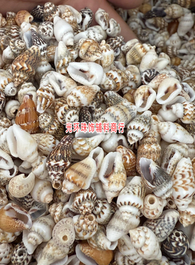 天然海螺壳10-15mm打孔花米螺贝壳DIY手工饰品项链材料服装辅料